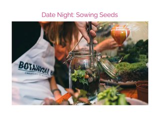 A person making a succulent terrarium.