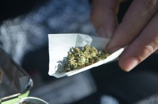 New York Times press article