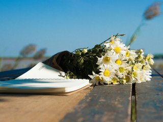 a notebook sits on a table underneath a bouquet of daisies, blue skies behind them