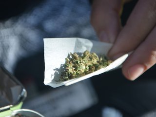 New York Times press article
